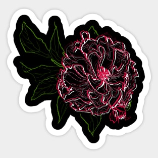 Peony Sticker